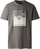 Футболка THE NORTH FACE Kiyanja NF0A87MM-0UZ р.M серый