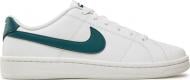 Кроссовки мужские Nike Court Royale 2 CQ9246-105 р.44 белые