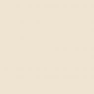 Краска керамическая MAGNAT PRO Ceramic Superior 7 шелковистый мат NCS S 1005-Y40R 9 л