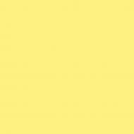 Фарба керамічна MAGNAT PRO Ceramic Superior 7 шовковистий мат NCS S 0530-Y 0,9 л