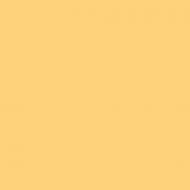 Краска керамическая MAGNAT PRO Ceramic Superior 7 шелковистый мат NCS S 0550-Y10R 9 л