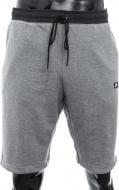 Шорты Nike 805152-091 р. XL серый Шорты Nike 805152-091 р. XL серый