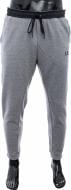 Штани Nike 805154-091 р. L сірий