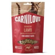 Лакомство для котов Carnilove Crunchy Snack Lamb with Blackberries хрустящие ягнёнок и ежевика 50 г