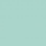 Краска керамическая MAGNAT PRO Ceramic Superior 7 шелковистый мат NCS S 1515-B50G 0,9 л