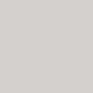 Краска керамическая с колорированием MAGNAT PRO Ceramic Superior 7 шелковистый мат NCS S 1502-R 9 л