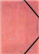 Папка на резинке zip-lock А4+ Shade Coral Axent