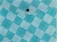 Папка на кнопке А5+ Tartan Green Axent