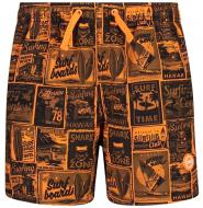 Шорти Campagnolo 31R9194-25ZG р. 152 коричневий