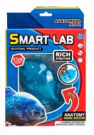 Набор исследователя Maya Toys Анатомия животных Пиранья 802B