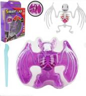 Набор исследователя Maya Toys Анатомия животных Летучая мышь 804B