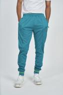 Брюки Umbro MONOGRAM TRACK PANT 66391U-MAP р. M зеленый