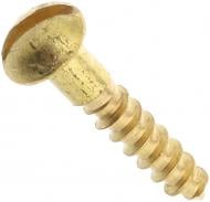 Шуруп по дереву полукруглая головка Expert Fix 2,0х10 мм 30 шт 2x10 мм 30 шт. латунь (22020010 )