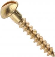 Шуруп по дереву напівкругла головка Expert Fix 3,5х30 мм 8 шт 3,5x30 мм 8 шт. (22035030 )