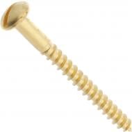 Шуруп по дереву полукруглая головка Expert Fix 5x50 мм 4 шт. латунь (22050050 )