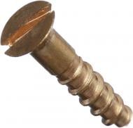 Шуруп по дереву потайная головка Expert Fix 2x10 мм 25 шт. латунь (22120010 )