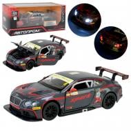 Автомодель Автопром 1:32 Bentley Continental GT3 68353C