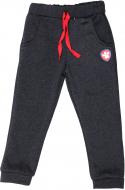 Брюки спортивные Соня для мальчика р.110 антрацит Н0244