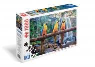 Пазл PUZZLEVILLE Синьо-жовті Арарауна 1000 елементів PZL1000_4
