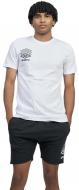 Футболка Umbro TERRACE GRAPHIC TEE 66424U-13V р.XL белый