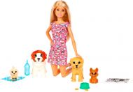 Игровой набор Barbie Деткий садик щенков FXH08