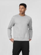Свитшот 4F 4FSS22TSWSM107-27M р. L серый