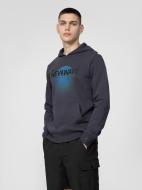 Джемпер 4F 4FSS22TSWSM189-50S р. L фиолетовый