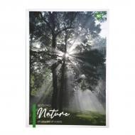 Блокнот YES А4 80 арк. Nature клітинка 152033
