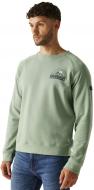 Свитшот Regatta Nithsdale RMA565-H6L р.M зеленый