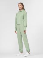 Брюки 4F 4FSS22TTROF110-42S р. M зеленый