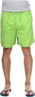 Шорты Firefly Yanuca 258775-900746 р. S зеленый