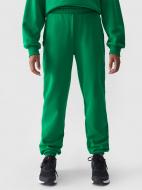 Брюки 4F TROUSERS CAS F754 4FJWAW24TTROF754-41S р. 128 зеленый Брюки 4F TROUSERS CAS F754 4FJWAW24TTROF754-41S р. 128 зеленый