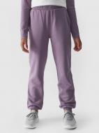 Брюки 4F TROUSERS CAS F754 4FJWAW24TTROF754-51S р. 146 фиолетовый