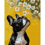 Картина по номерам Бульдог и цветы 40 х 50 см Santi