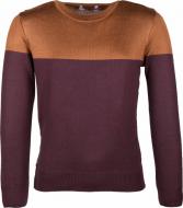 Джемпер для хлопчика Flash р.128 коричневий/фіолетовий 18B032sp-1405_770-57