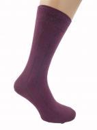 Носки мужские Cool Socks 17884 р.29-31 бордовый