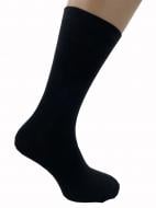 Шкарпетки чоловічі Cool Socks 17901 р.25-27 чорний