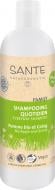 Шампунь органический Sante для ежедневного ухода за волосами Яблоко и Айва 300 мл