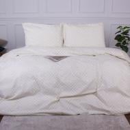 Комплект постельного белья Ranforce Elite 17-0623 Geometry Creamy 200х220 см кремовый MirSon