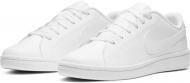 Кроссовки мужские демисезонные Nike Court Royale 2 Low CQ9246-101 р.45 белые