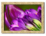 Картина Дикий крокус 41x31 см Hotel Arizona HD 1 GOLDEN FR-2381843855-PURP-12x1