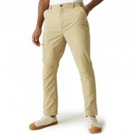 Брюки Regatta Dalry Trouser RMJ306-J66 р. 40 бежевый