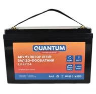 Батарея аккумуляторная для ИБП Quantum литий-железо-фосфатный QM-LiFePO4-12.8V-100Ah