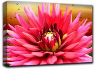 Картина Цветы георгина 102x69 см Hotel Arizona HD 1-6501343855-BOUQ-27x40-WHITE Картина Цветы георгина 102x69 см Hotel Arizona HD 1-6501343855-BOUQ-27x40-WHITE