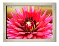 Картина Квіти жоржини 41x31 см Hotel Arizona HD 1 SILVER FR-6501343855-BOUQ-12x1 Картина Квіти жоржини 41x31 см Hotel Arizona HD 1 SILVER FR-6501343855-BOUQ-12x1
