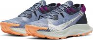 Кроссовки женские демисезонные Nike Pegasus Trail 2 CK4309-401 р.36,5 голубые