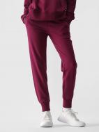 Штани 4F TROUSERS CAS F0946 4FWMM00TTROF0946-51S р. L фіолетовий Штани 4F TROUSERS CAS F0946 4FWMM00TTROF0946-51S р. L фіолетовий