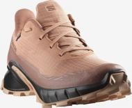 Ботинки Salomon ALPHACROSS 5 GTX W L47595100 р.37,5 бежевый