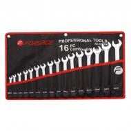 Набор ключей комбинированных Forsage 16 шт (6-19, 22, 24 мм) на полотне F-5161P