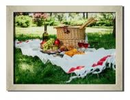 Картина Пикник в парке 41x31 см Hotel Arizona HD 1 SILVER FR-1144043855-WEEK-12x1 Картина Пикник в парке 41x31 см Hotel Arizona HD 1 SILVER FR-1144043855-WEEK-12x1